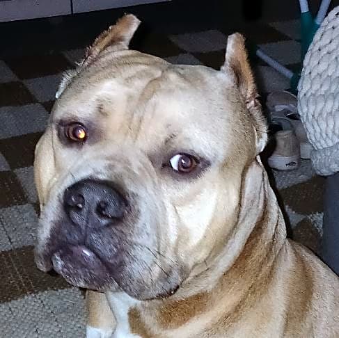 Photo of Walter