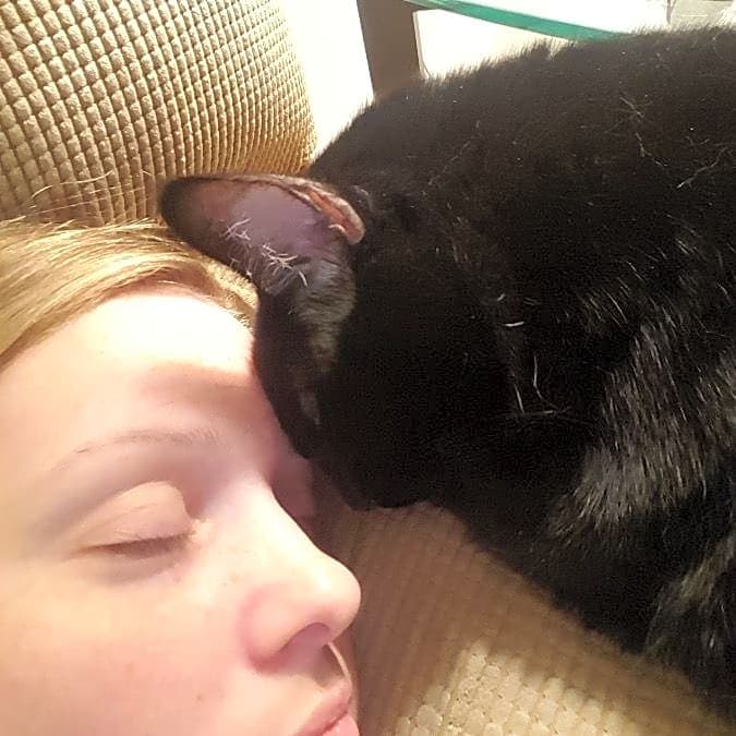 Photo of Nibbles