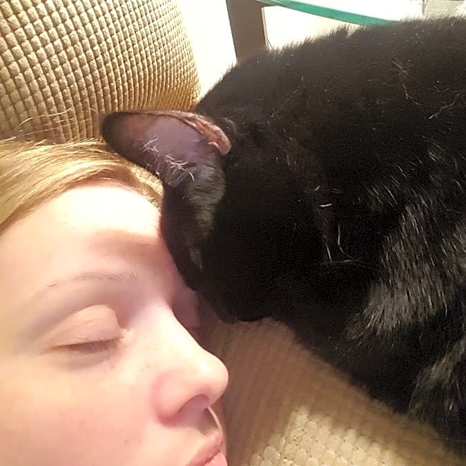 Photo of Nibbles