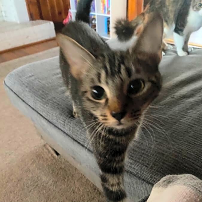 Photo of Storm