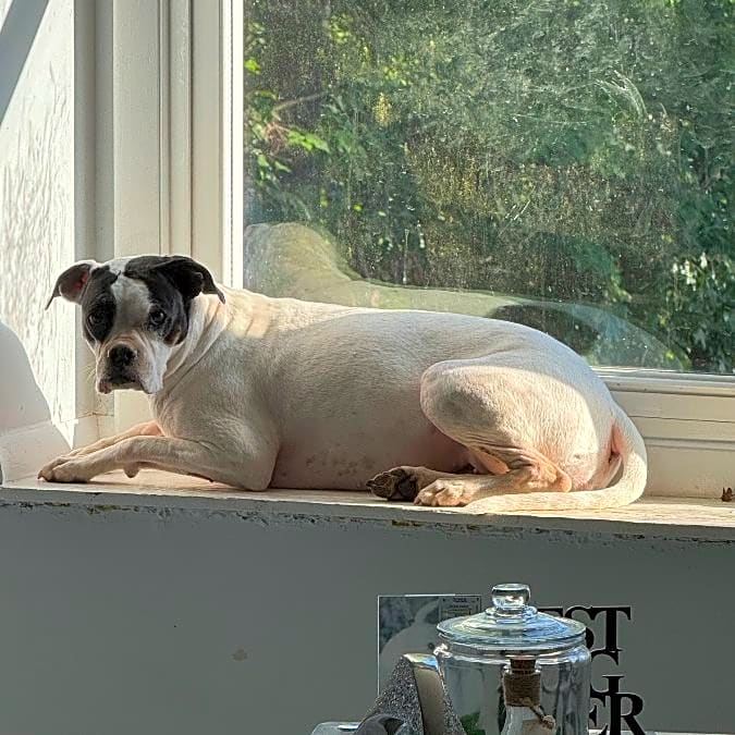 Photo of Lucy