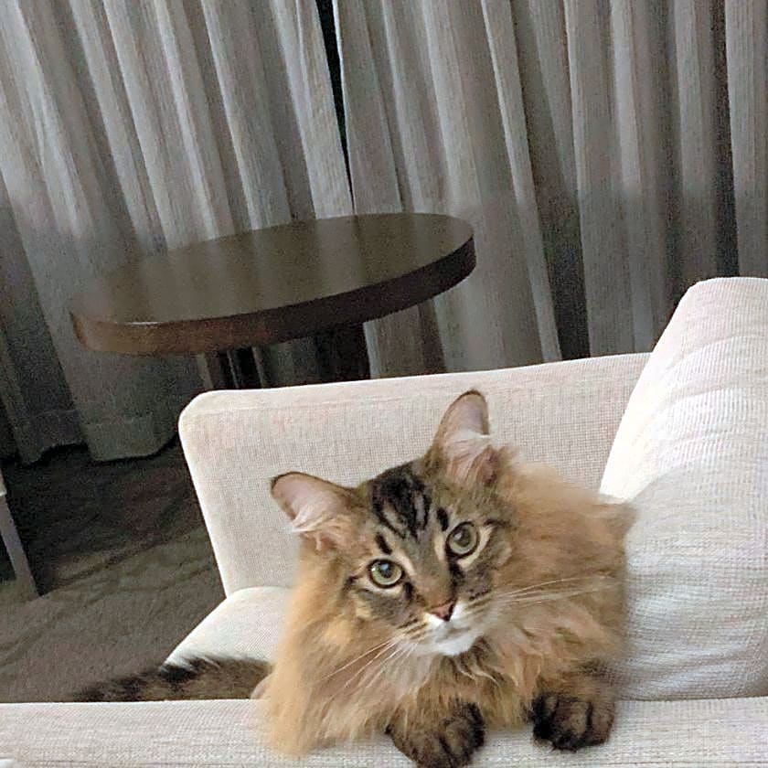 Photo of Malina