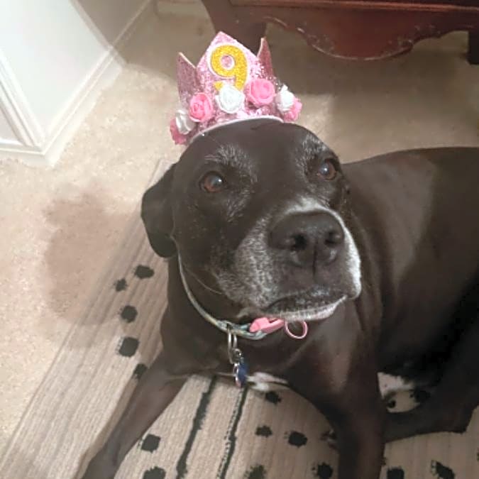 Photo of Reese Petunia