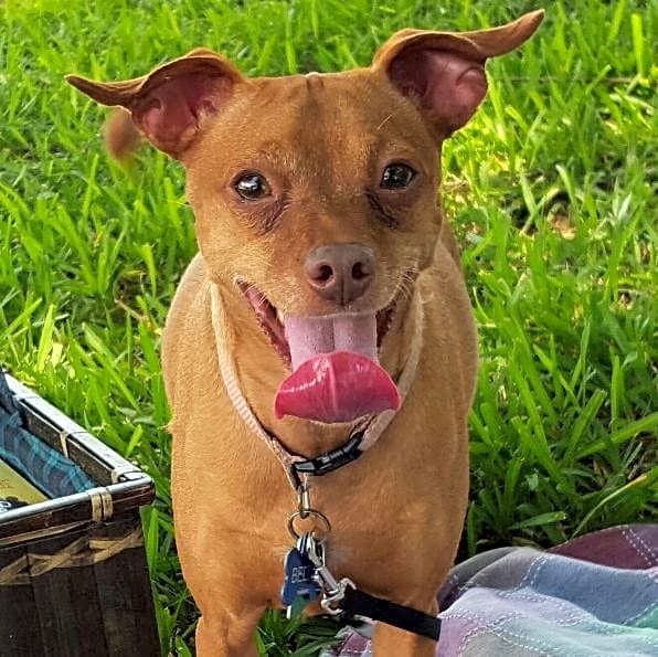 Photo of Bella