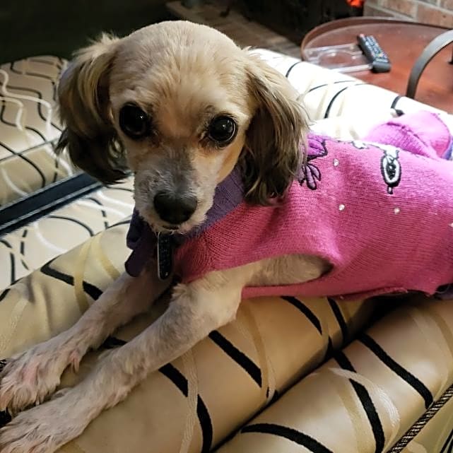 Photo of Leila
