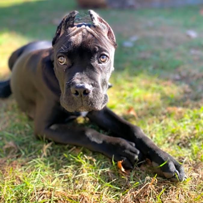 Photo of Odin Jones