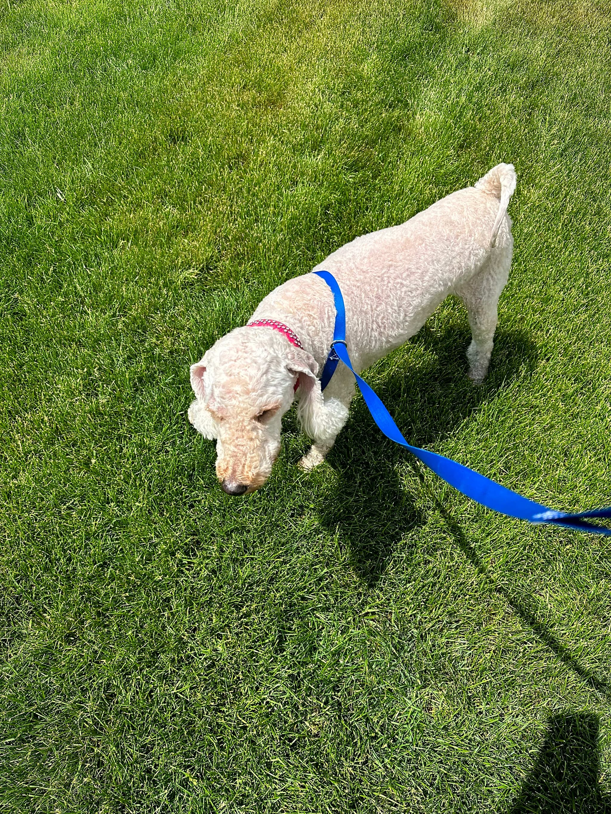 Photo of Penny Lane