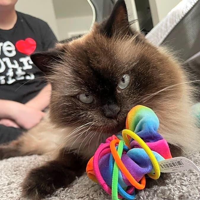 Photo of Hugo