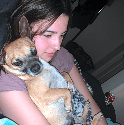 Photo of Harley