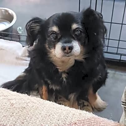 Photo of Buddy