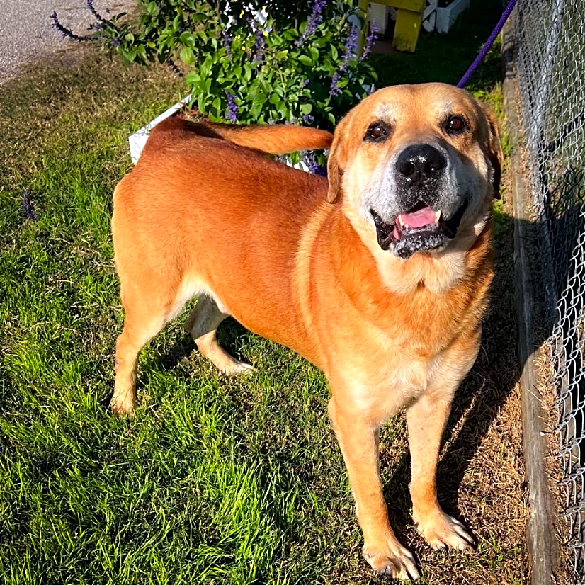 Photo of Charlie