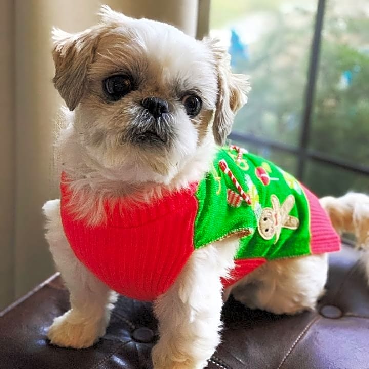 Photo of Marlee