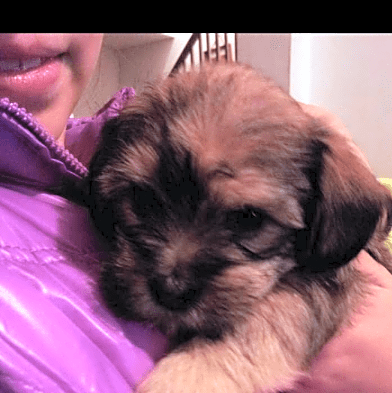 Photo of Zoey