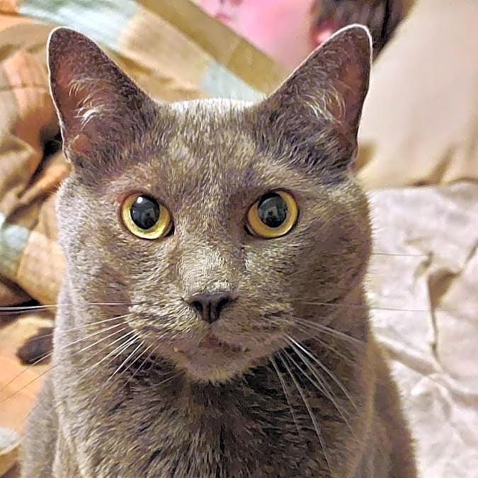 Photo of Booker
