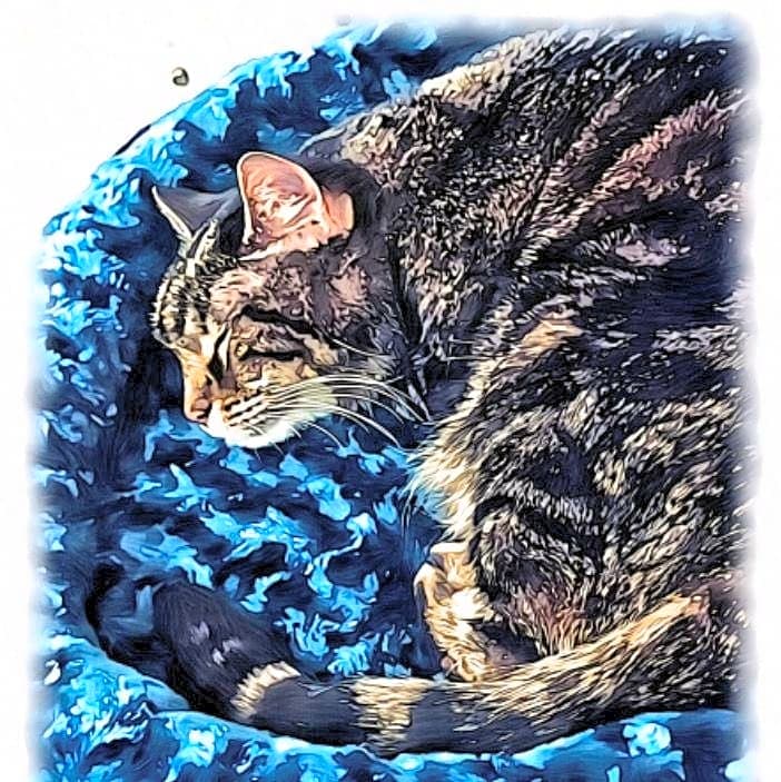 Photo of Tinkerbell Persephone