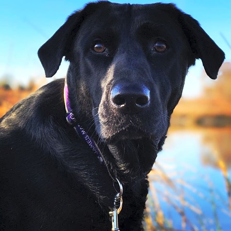 Photo of Dakota
