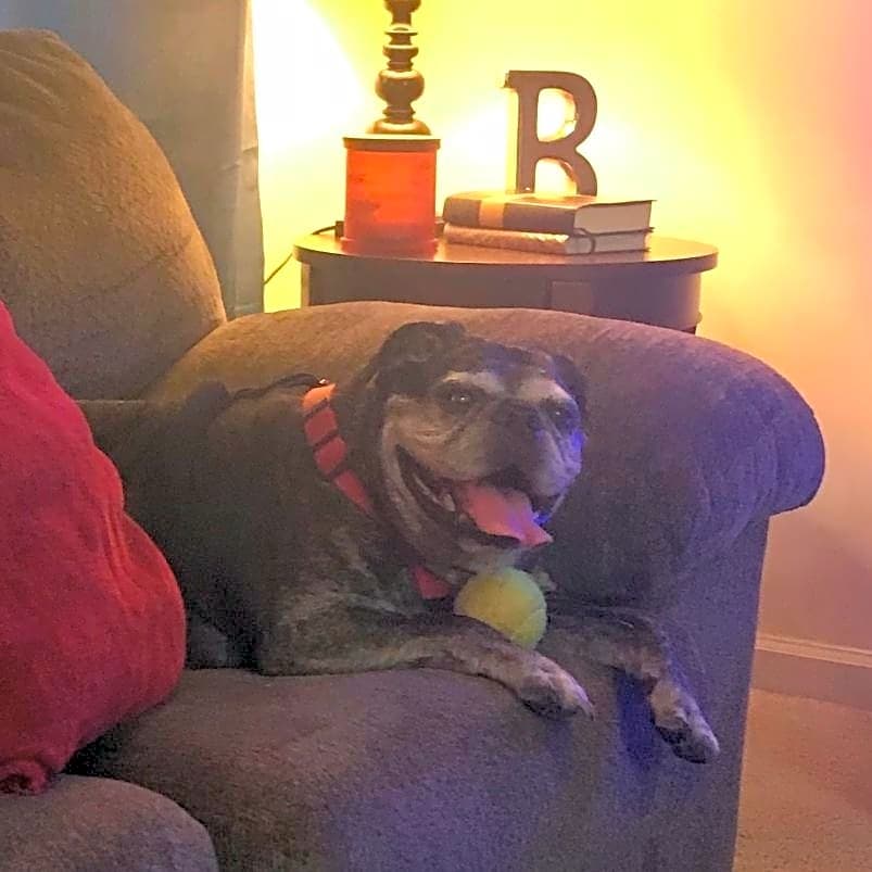 Photo of Hank