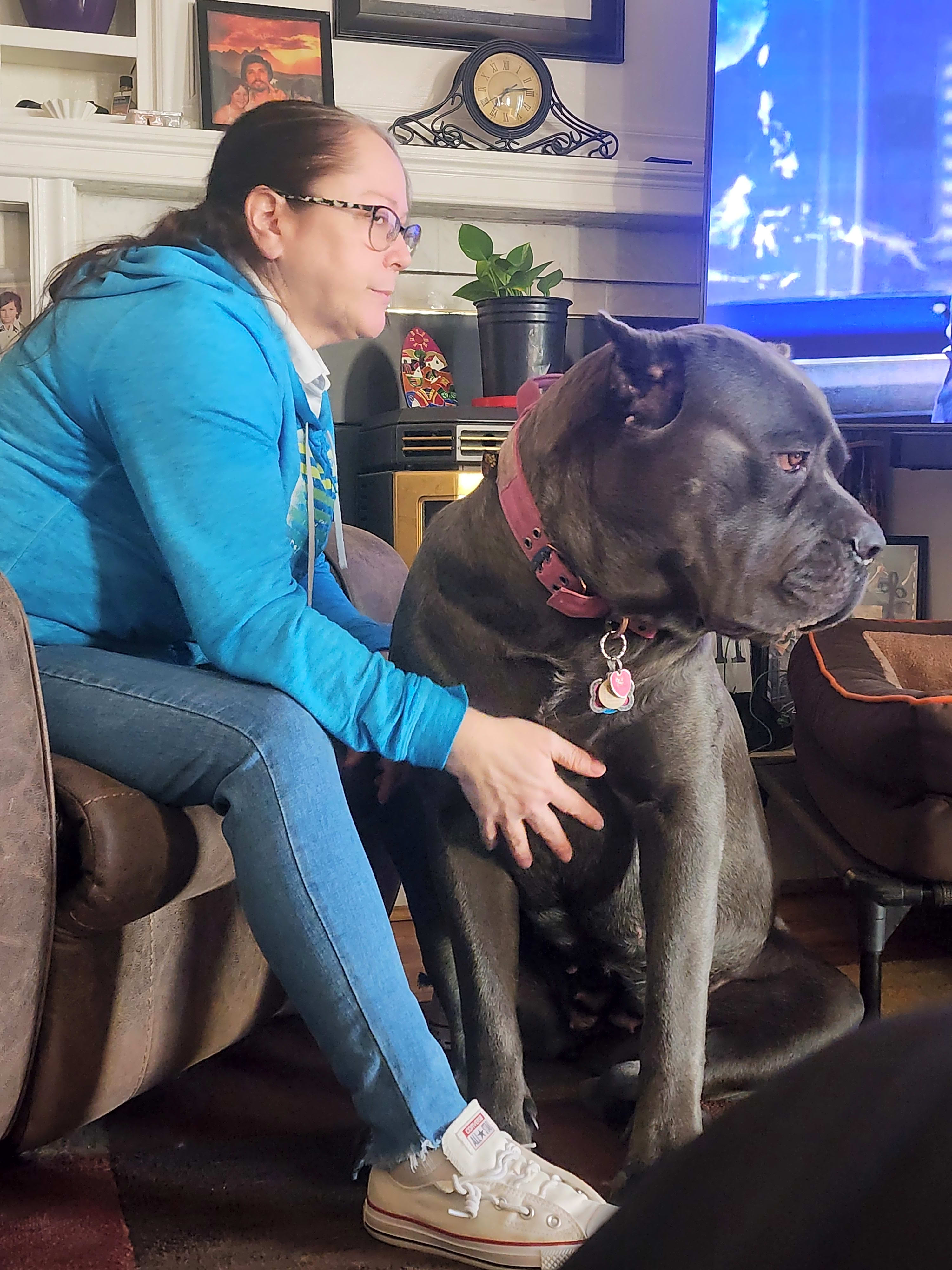 Photo of Stella