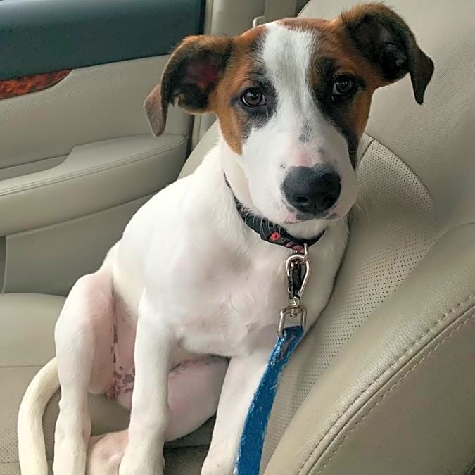 Photo of Annabelle