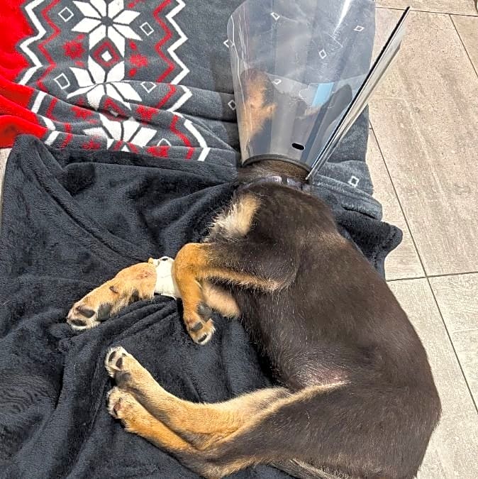 Photo of Twix