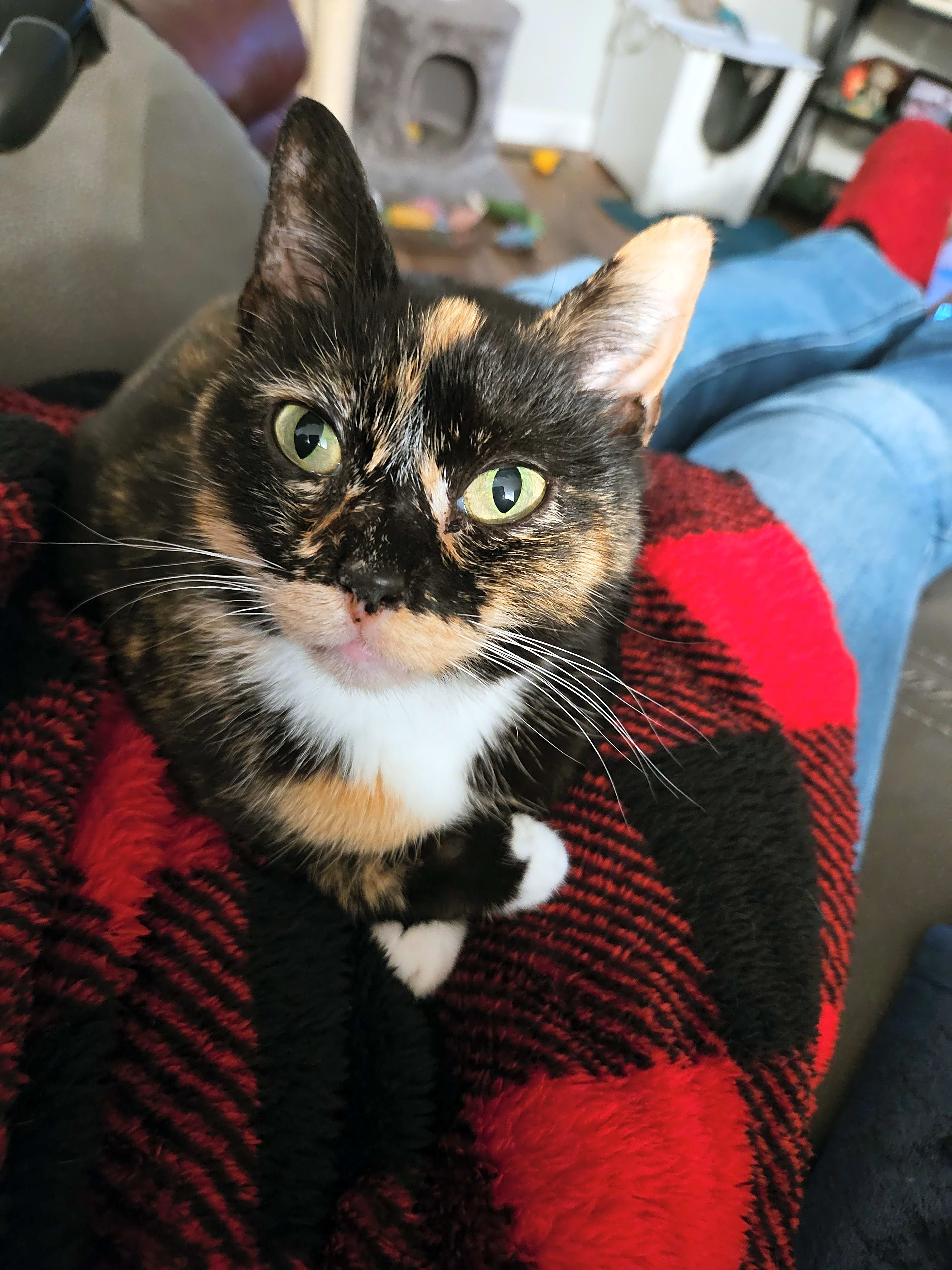 Photo of Delilah