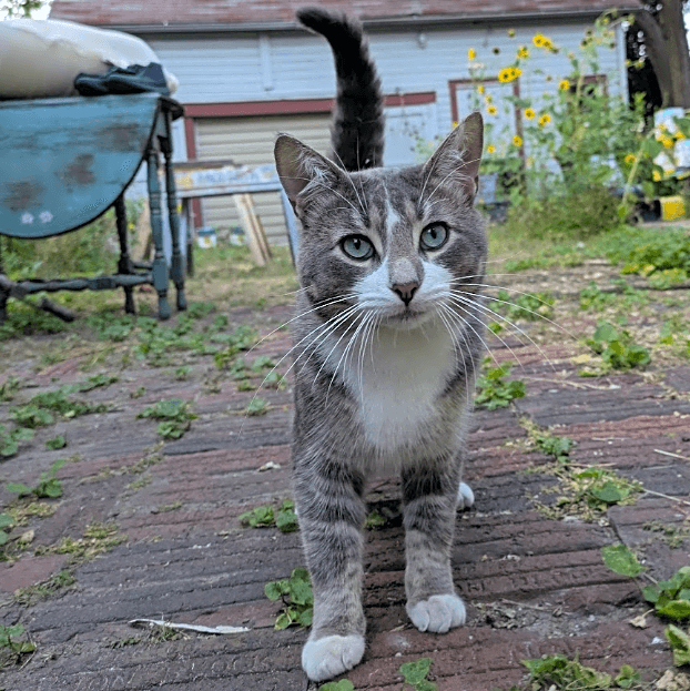 Photo of Dimples