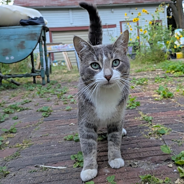 Photo of Dimples