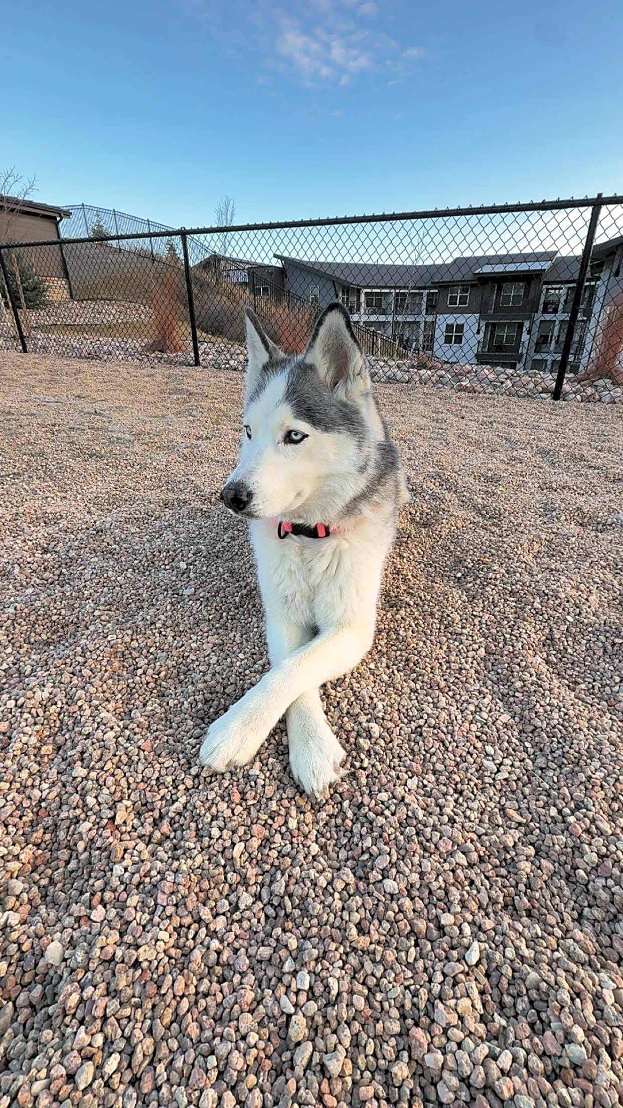 Photo of Luna
