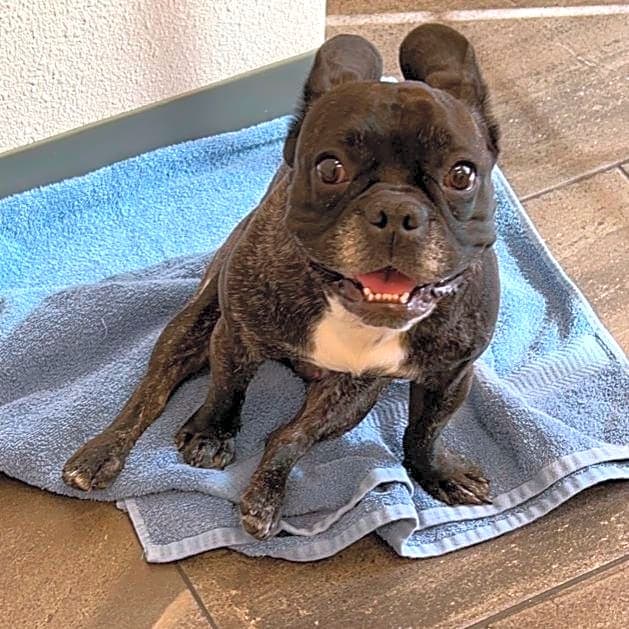 Photo of Zeus