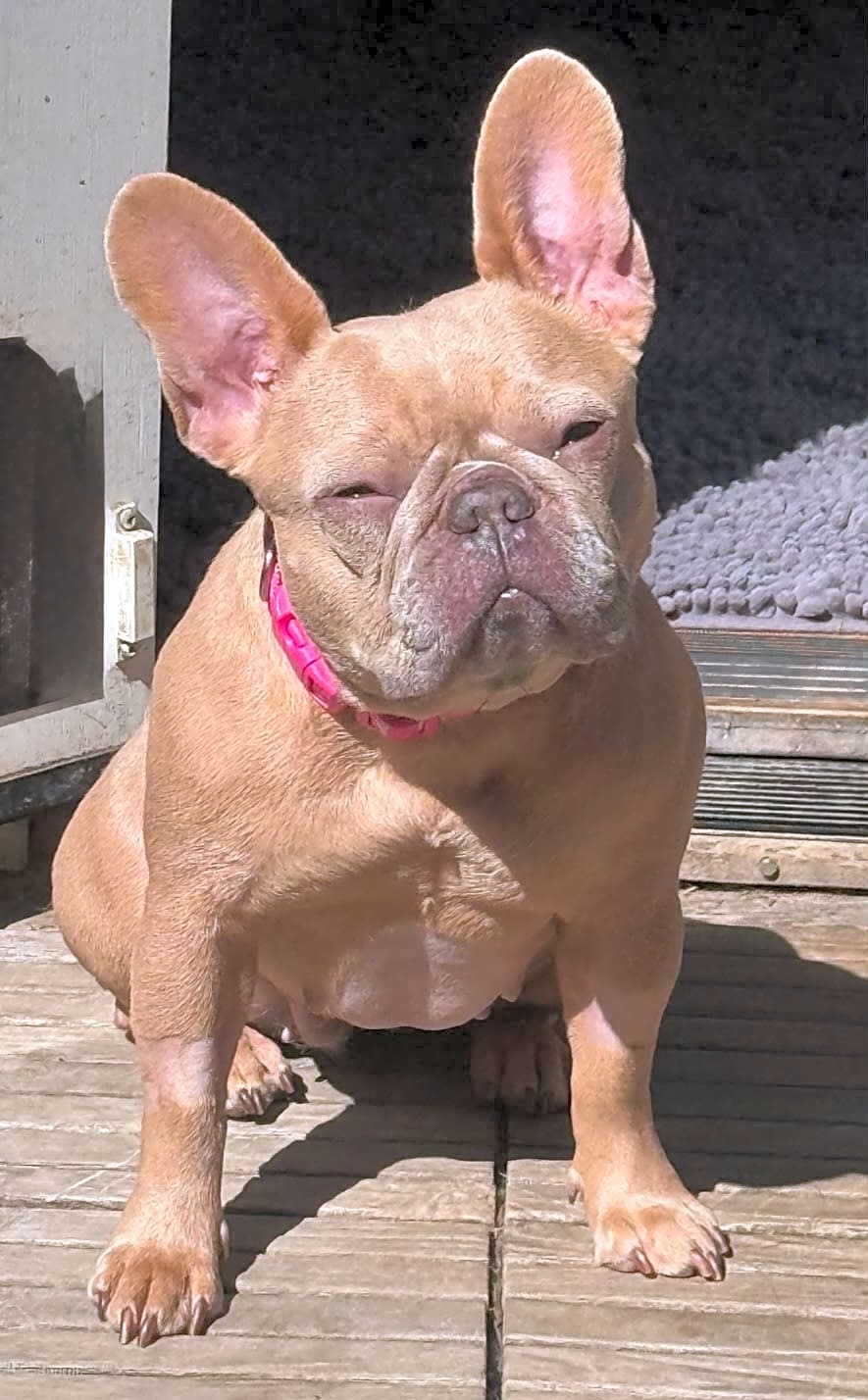 Photo of Zoe