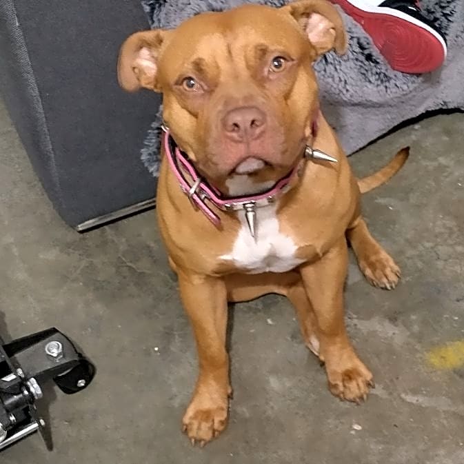 Photo of Babygirl100
