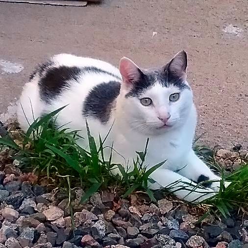 Photo of Jilly