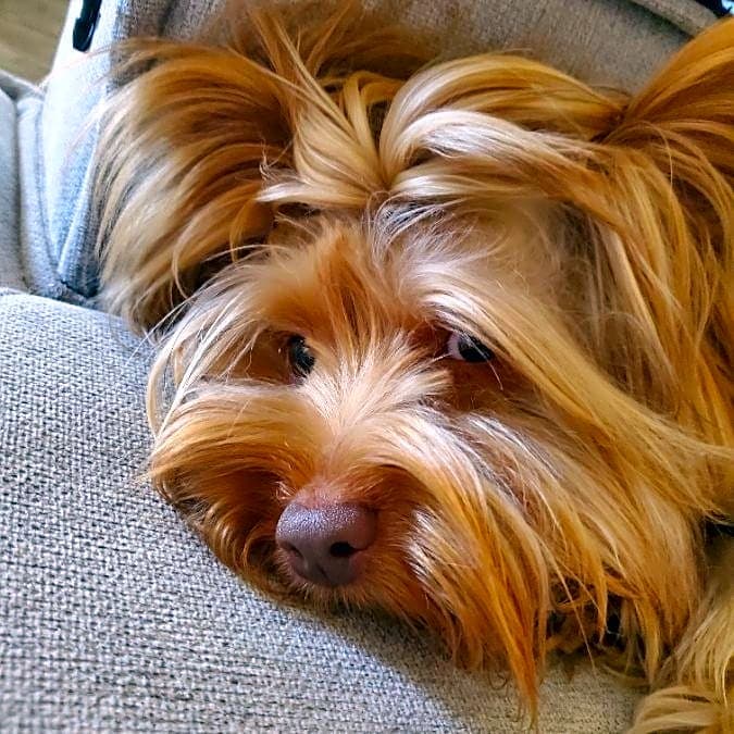 Photo of Charlie