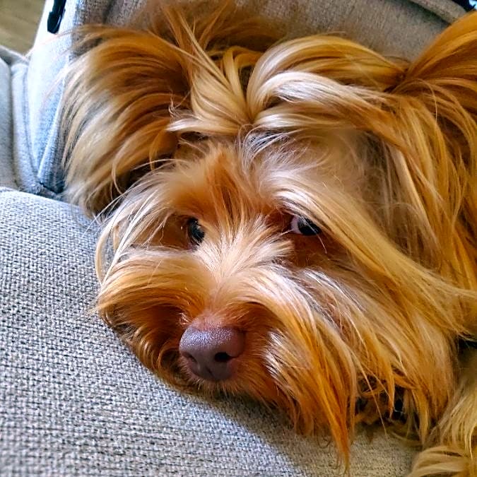 Photo of Charlie