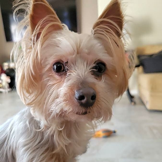 Photo of Lilly