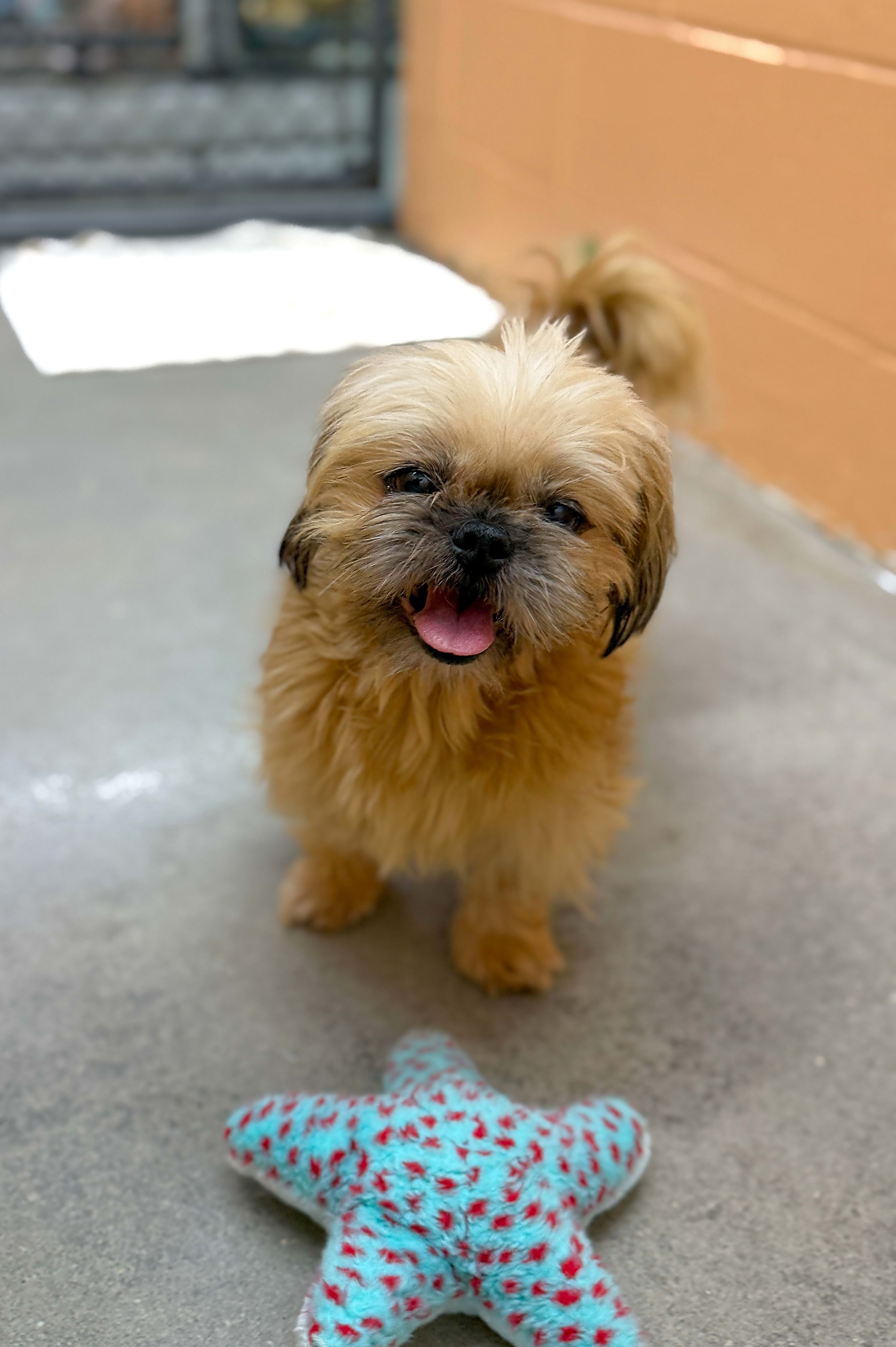 Photo of Tofu