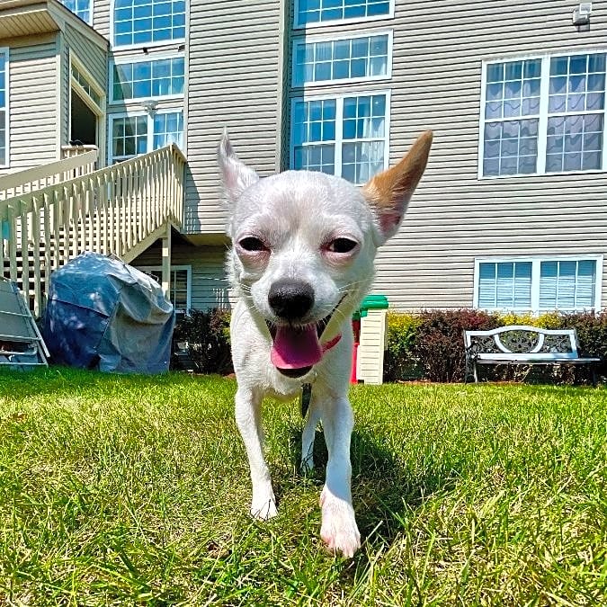 Photo of Chowder