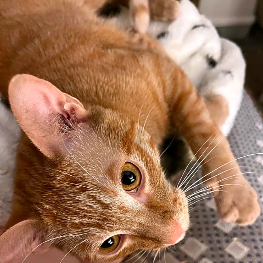 Photo of Max