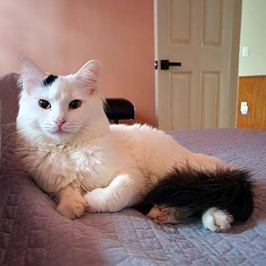 Photo of Leo