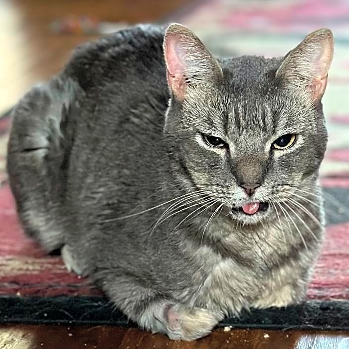 Photo of Hobbs