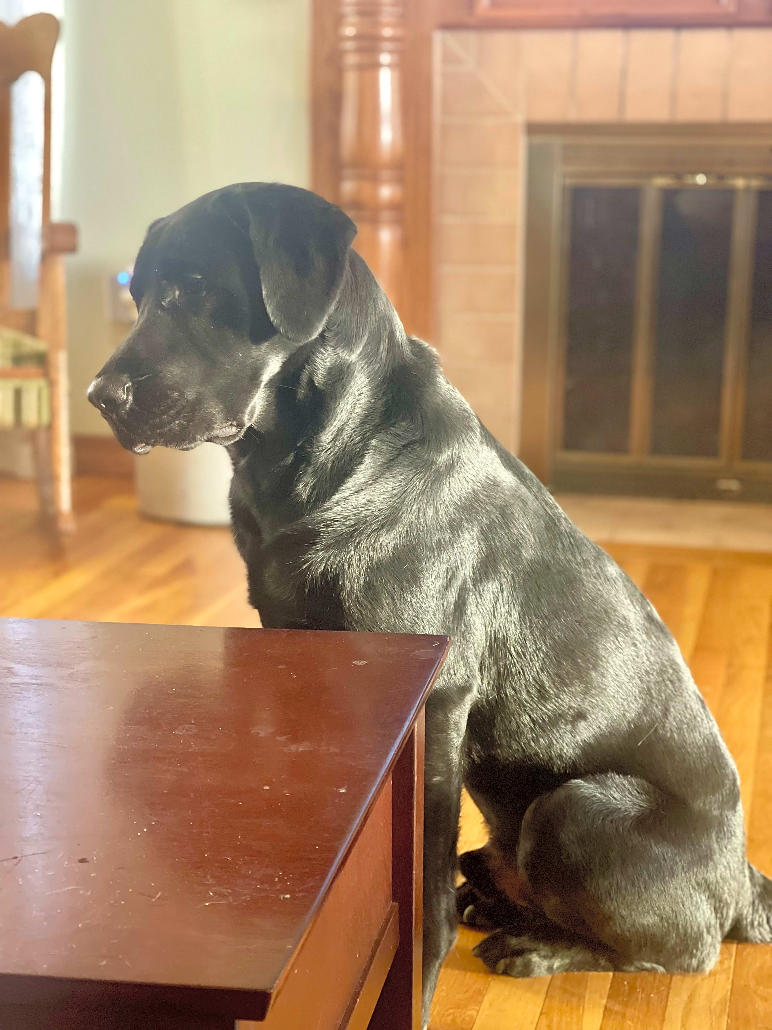 Photo of Trooper