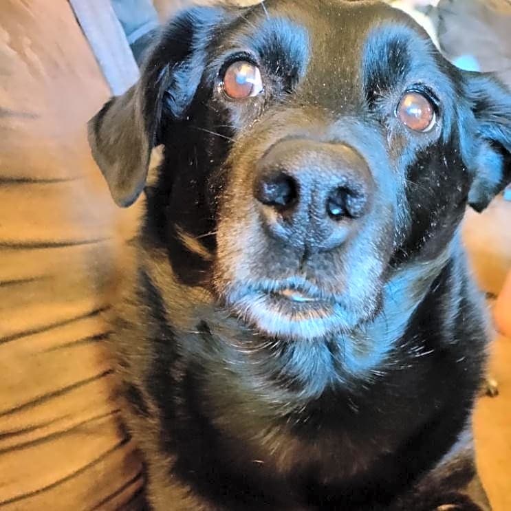 Photo of Max