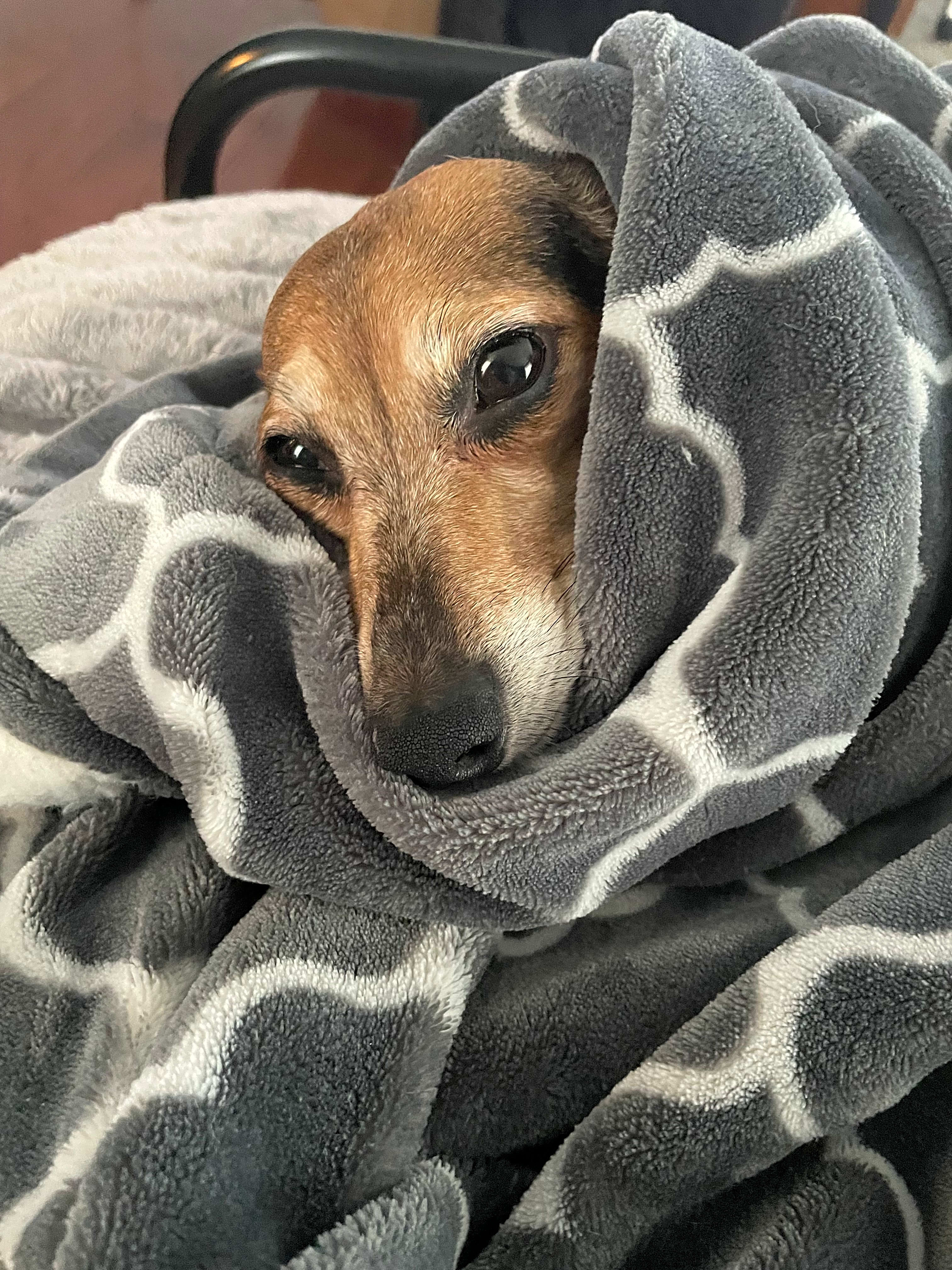 Photo of Lulu