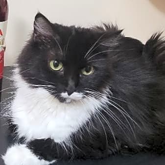 Photo of Mia