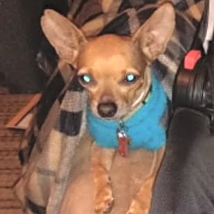 Photo of Eli