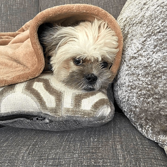 Photo of Chloe