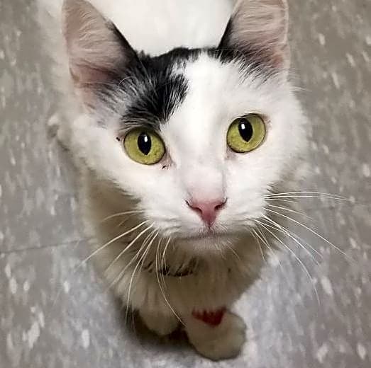 Photo of Mimi