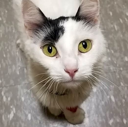 Photo of Mimi
