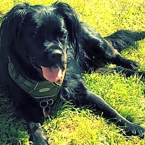Photo of Maslow