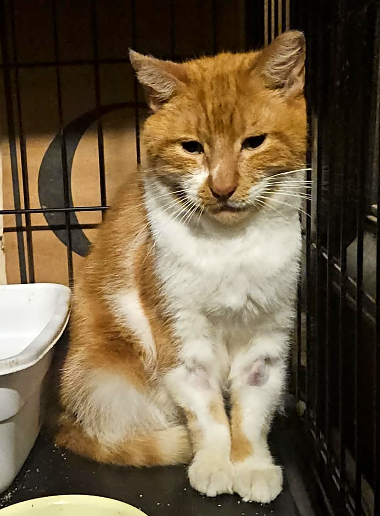 Photo of Rudy